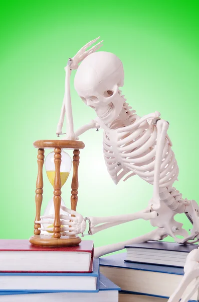 Skeleton reading books against gradient — Stock Photo, Image