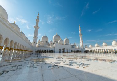 Sheikh zayed Camisi