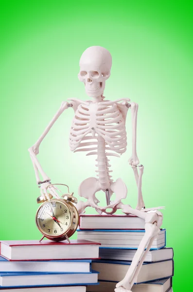 Skeleton reading books — Stock Photo, Image