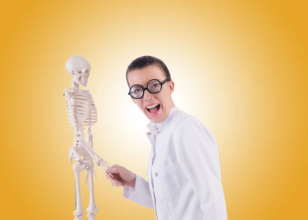 Доктор со скелетом против градиента — стоковое фото