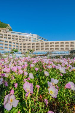 Galaalti Galaalti otel