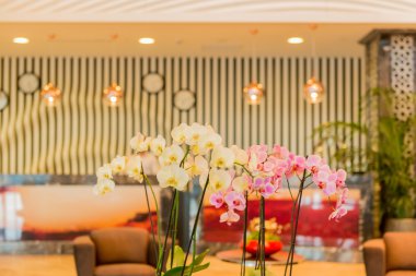 Otel lobisinde modern tasarımı ile