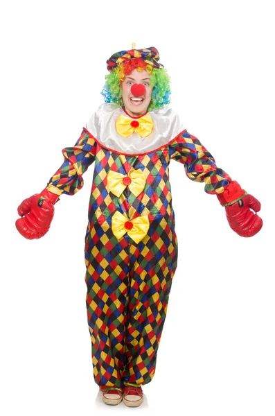 Clown mit Geschenkbox Boxhandschuhen — Stockfoto