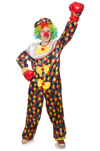 Clown mit Boxhandschuhen — Stockfoto