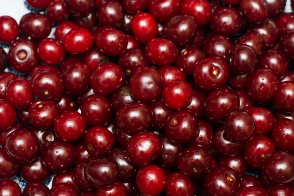 Background of many cherry berries — Stock Photo, Image