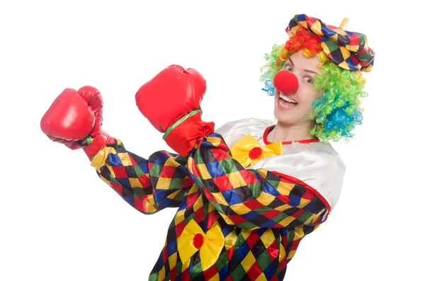 Клоун в боксёрских перчатках, изолированных на белом — стоковое фото
