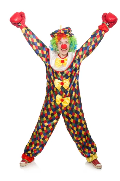 Clown mit Boxhandschuhen isoliert auf weiß — Stockfoto