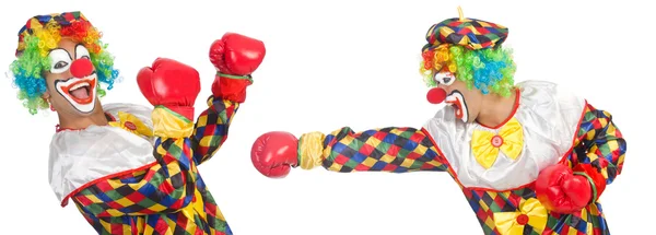 Clowns met bokshandschoenen — Stockfoto