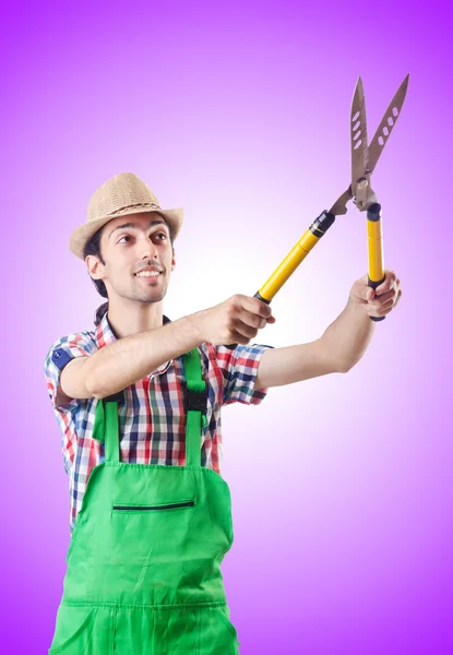 Man gardener with shears against the gradient — Stock Photo, Image