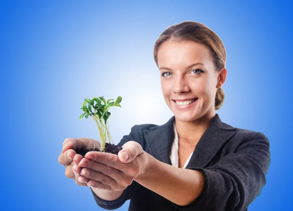 Affärskvinna med plantor — Stockfoto