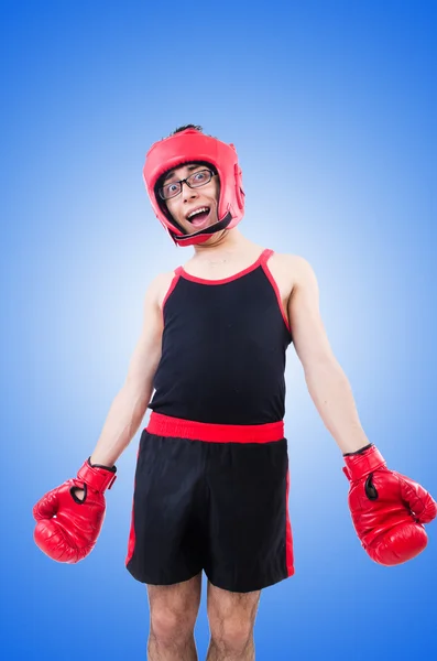 Boxer engraçado contra o gradiente — Fotografia de Stock