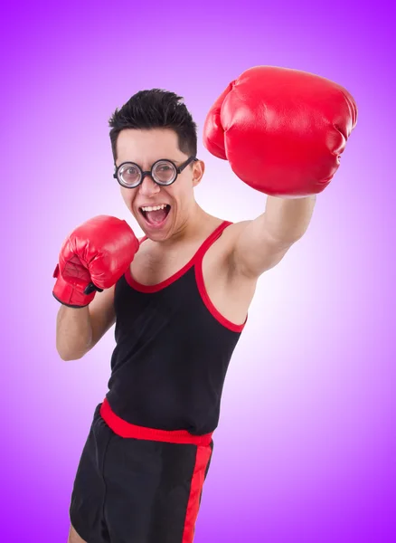 Boxeador divertido contra el gradiente —  Fotos de Stock