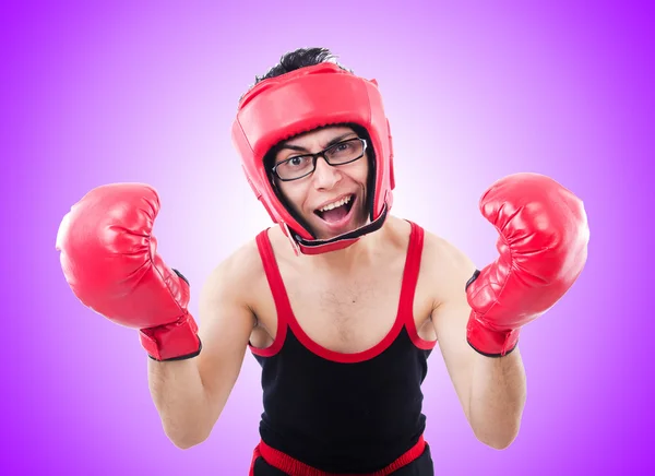 Смешной боксер против градиента — стоковое фото