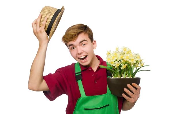 Jovem jardineiro com flores — Fotografia de Stock