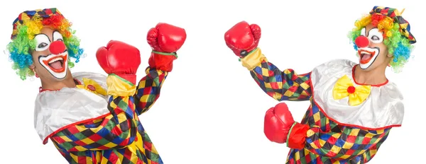 Clowns mit Boxhandschuhen isoliert auf weiß — Stockfoto