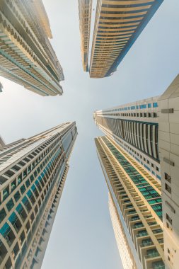 BAE 'deki Dubai Marina gökdelenleri