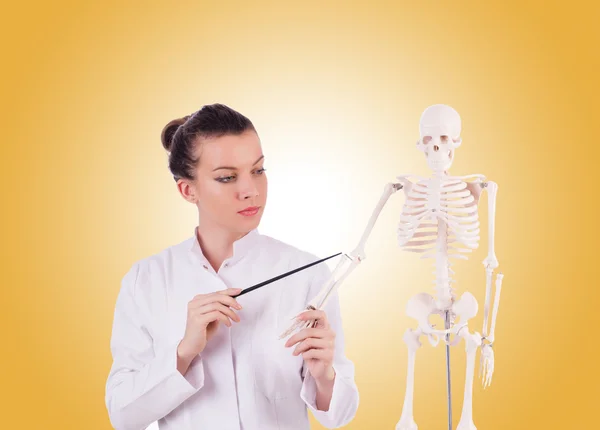 Doctor with skeleton against gradient — Stock Photo, Image