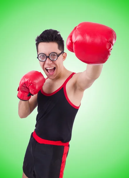 Funny boxer isolated on the white background — Stock Photo, Image