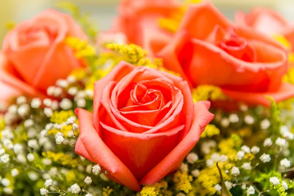 Szép rózsák ünnepi koncepcióban — Stock Fotó
