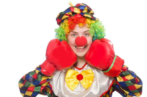 Клоун з боксерськими рукавичками ізольовані на білому — стокове фото