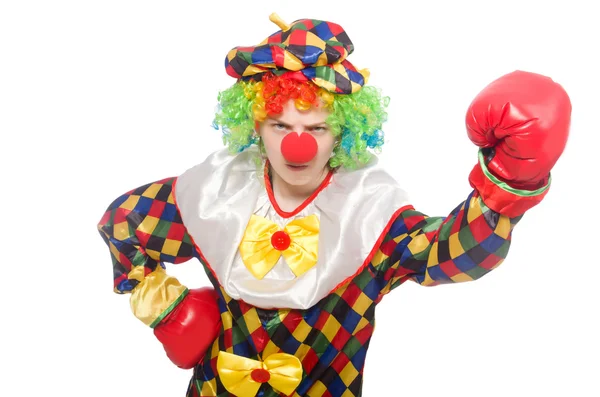 Clown med boxningshandskar isolerade på vitt — Stockfoto