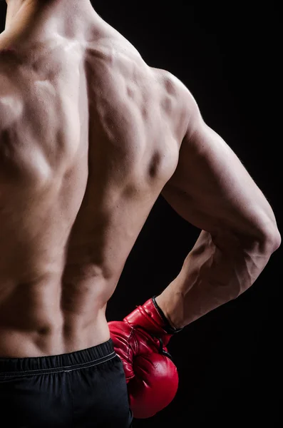 Hombre muscular en el concepto de boxeo —  Fotos de Stock