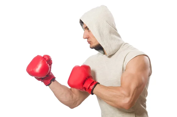 Boxkonzept mit jungen Sportlern — Stockfoto