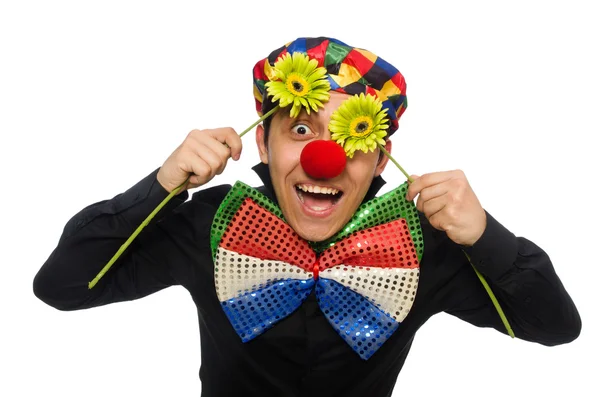 Clown with flower isolated on white — Stock Photo, Image