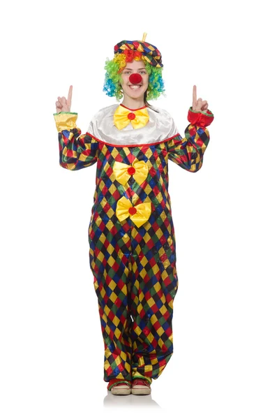 Clown isolato sullo sfondo bianco — Foto Stock