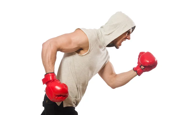 Concepto de boxeo con joven deportista — Foto de Stock