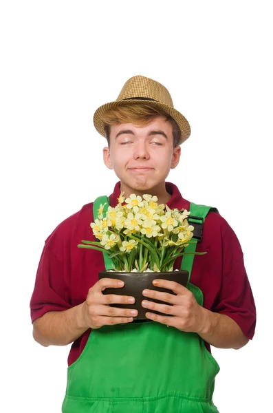 Young gardener with flower isolated on white — Stock Photo, Image
