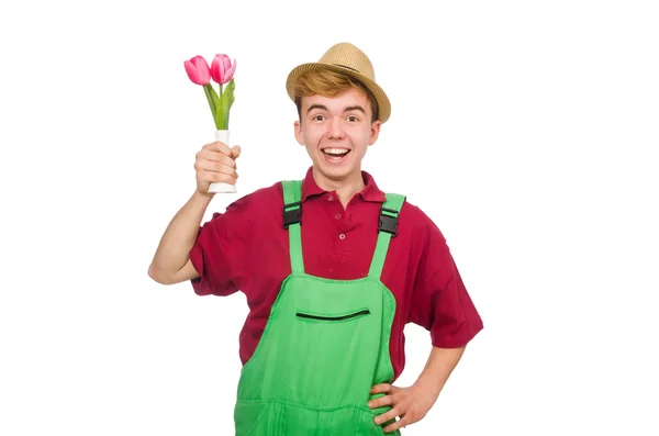 Junger Gärtner mit Blume isoliert auf weiß — Stockfoto