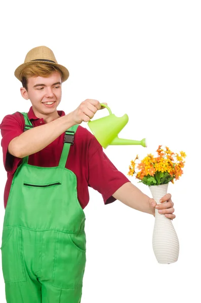 Junger Gärtner mit Blume isoliert auf weiß — Stockfoto