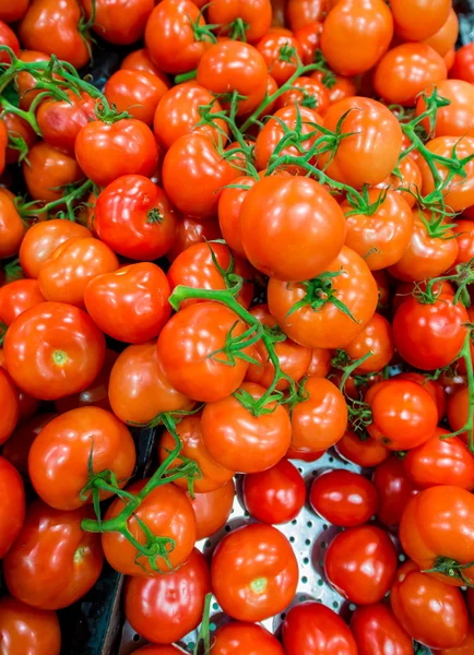Tomatoes on the supermarket display — Stock Photo, Image