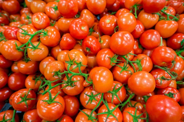 Tomates na exposição do supermercado — Fotografia de Stock