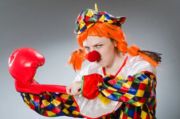 Clown with boxing gloves — Stock Photo, Image