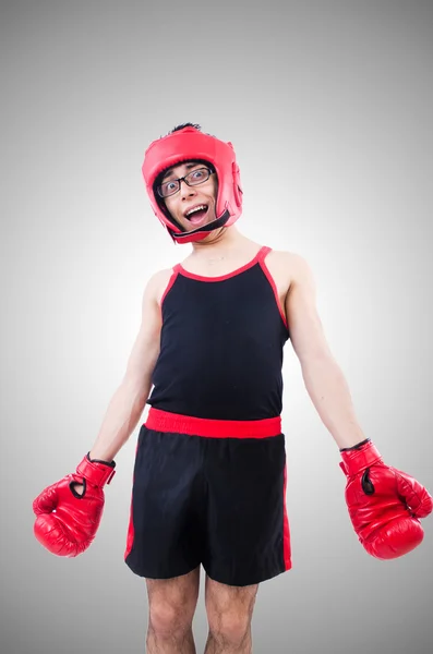 Vicces boxer, elszigetelt a szürke háttér — Stock Fotó