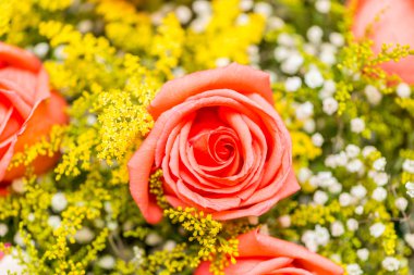 Kutlama konseptinde güzel güller