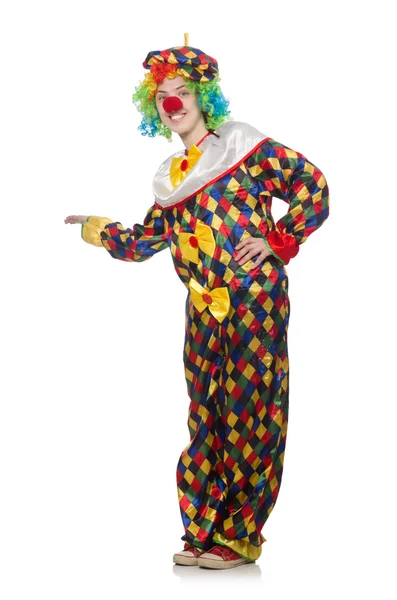 Clown isolated on the white background — Stock Photo, Image