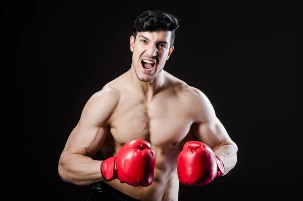 Muscular man in boxing concept — Stock Photo, Image