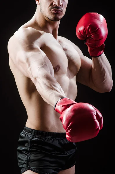 Hombre muscular en el concepto de boxeo —  Fotos de Stock