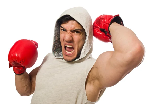 Conceito de boxe com jovem desportista — Fotografia de Stock