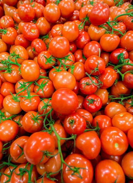 Tomatoes on the supermarket — Stock Photo, Image