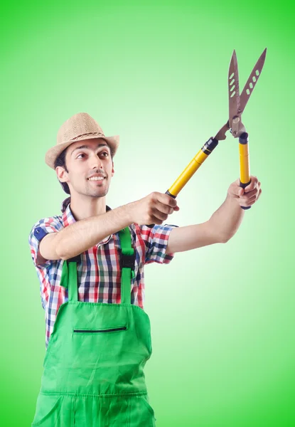 Man gardener with shears — Stock Photo, Image