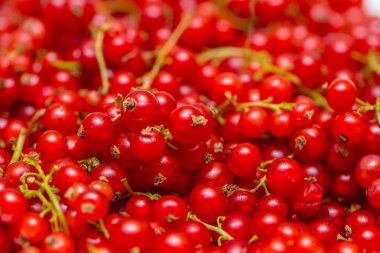 Frenk üzümü meyveler arka plan yaptı