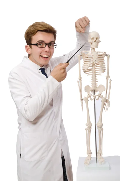 Zabawny lekarz z wyizolowanym szkieletem na białym — Zdjęcie stockowe