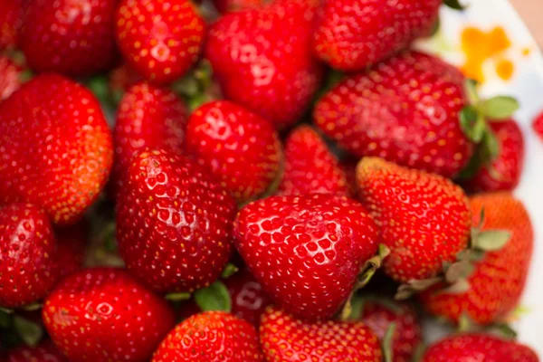 Aardbeien gerangschikt op het display — Stockfoto