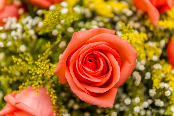 Bonitas rosas en concepto de celebración — Foto de Stock