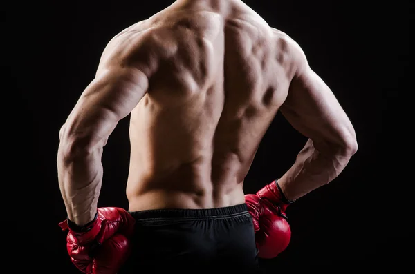 Hombre muscular en el concepto de boxeo —  Fotos de Stock