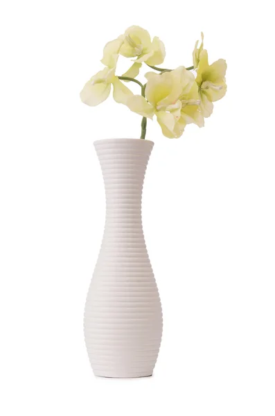 Vase mit Orchideenblüte isoliert auf weiß — Stockfoto